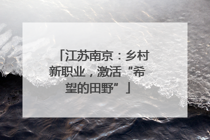 江苏南京：乡村新职业，激活“希望的田野”